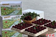 单字占卜高速赋能产业升级：一条“杨梅路”的致富密码